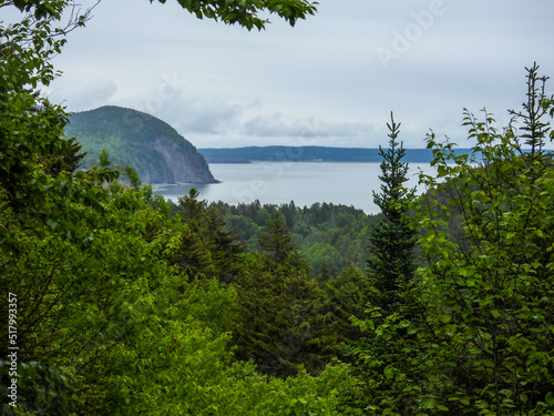 Coastline in Fundy National Park photo