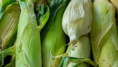 Tableau sur toile corn on the cob