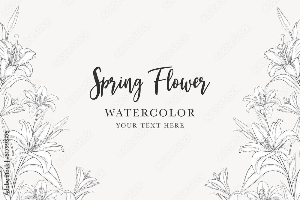 hand drawn mono-line floral lily background design hand drawn mono-line floral lily background design
