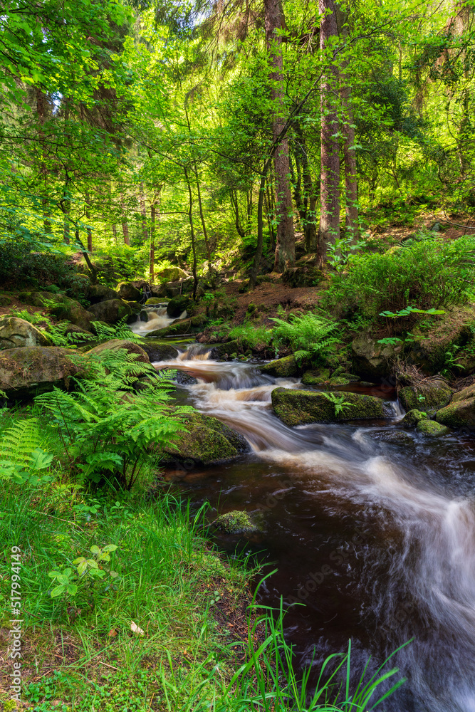 Obraz premium stream in a green forest on summer warm days. Peak District national park.