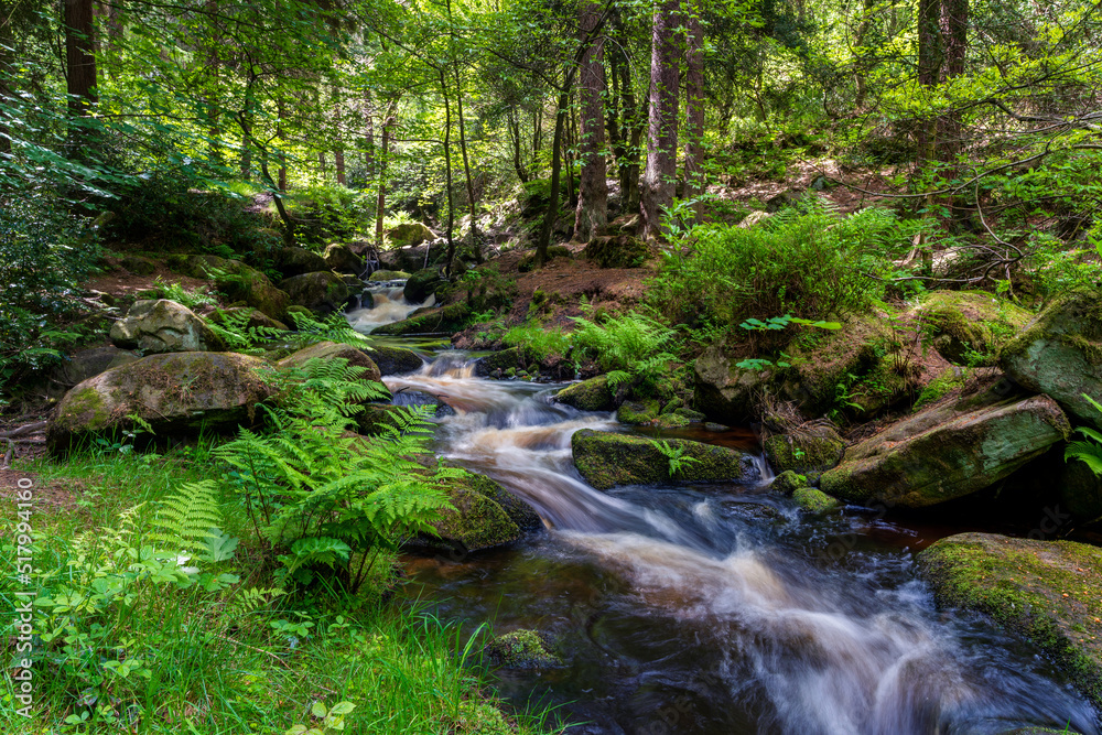 stream in a green forest on summer warm days. Peak District national park. stream in a green forest on summer warm days. Peak District national park.