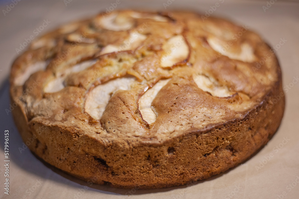 Baked cake in oven. Charlotte with apples. Grandma's pie. Flour product.
