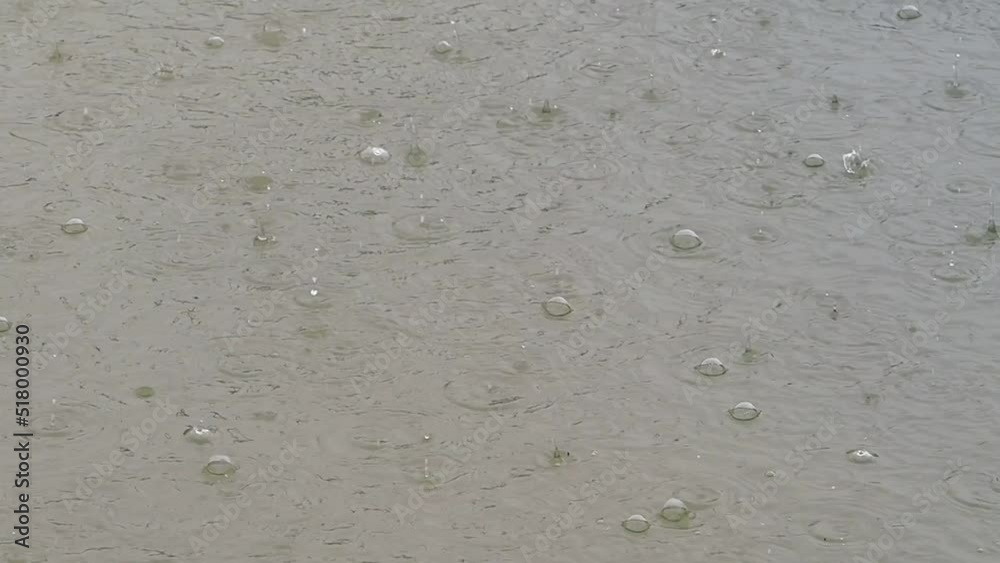 水面と波紋 水面と波紋