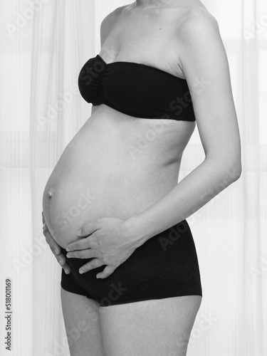 妊娠中の女性の身体のポートレート