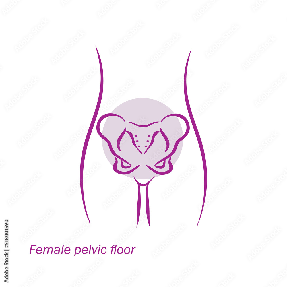 female pelvic floor vector, icon, logo female pelvic floor vector, icon, logo