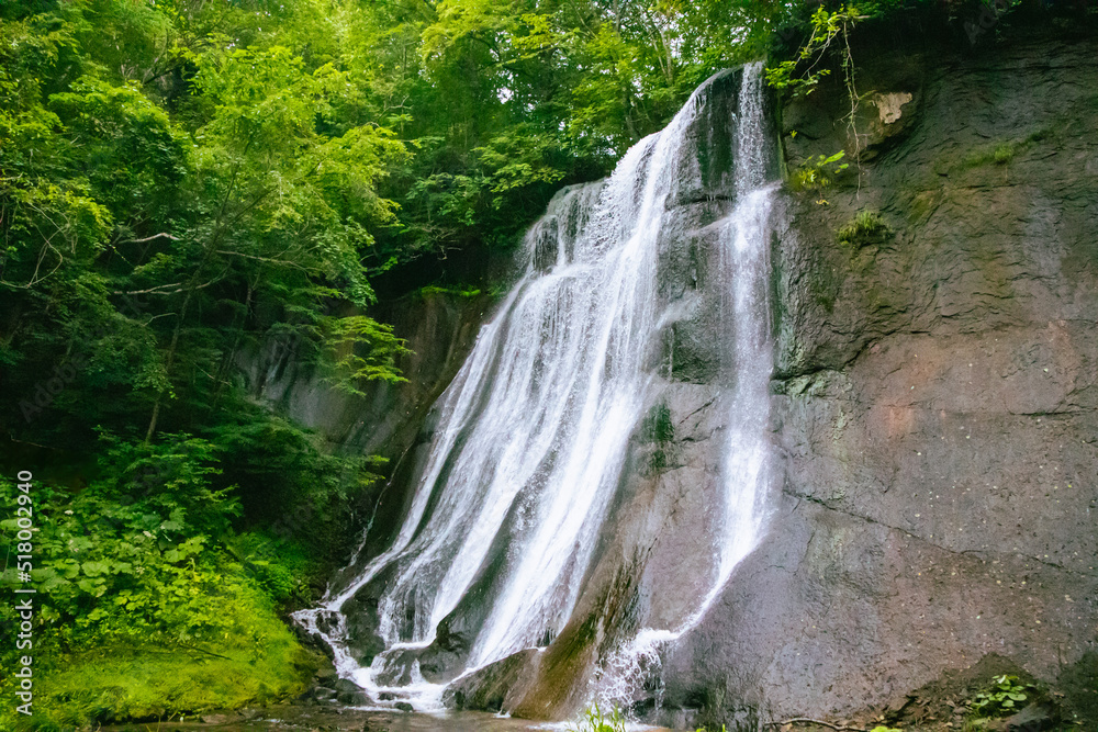 Fototapeta premium 森林の滝