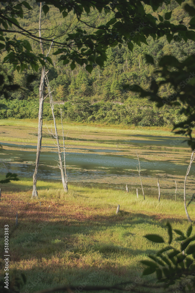 Obraz premium 兵庫県・加古川市夏の権現ダム湖底が現れる