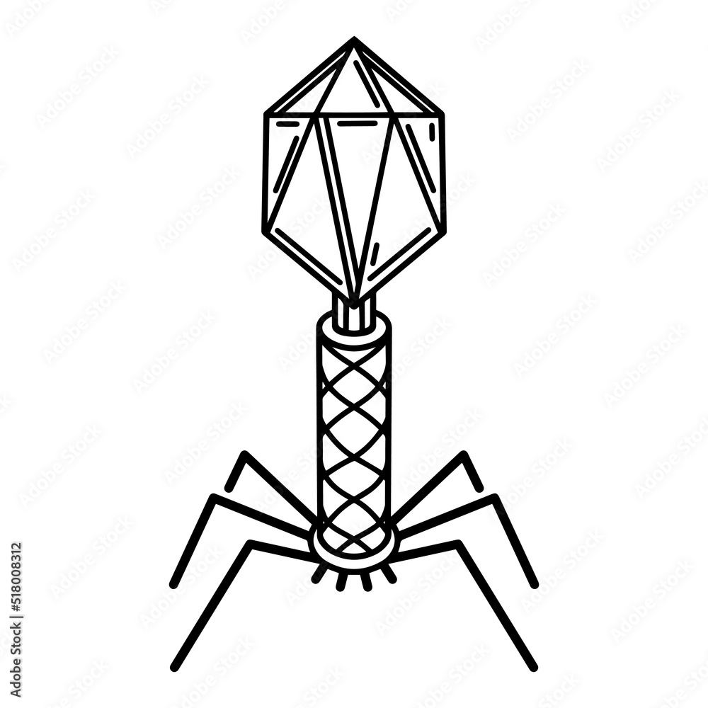 Bacteriophage vector icon. DNA, RNA virus infecting bacterial cells. Microorganism with a protein coat, fiber tail. Black outline isolated on white background. Virus structure for web, logo, apps