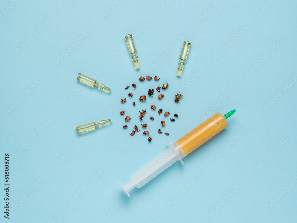 Ampoules and a syringe with insect poison and Colorado beetles on a blue background. Minimal concept of pest control.