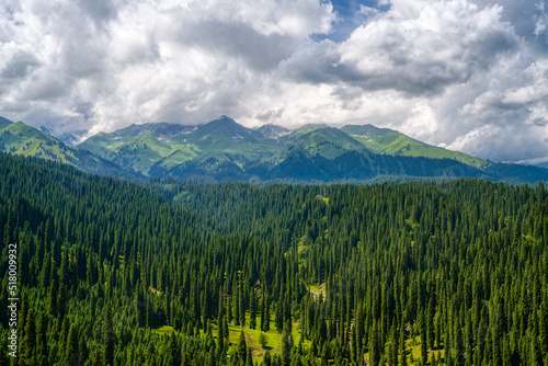 landscape with forest and clouds