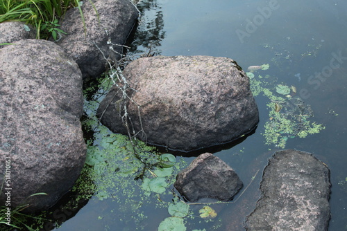 Canvas Print zen stones in water