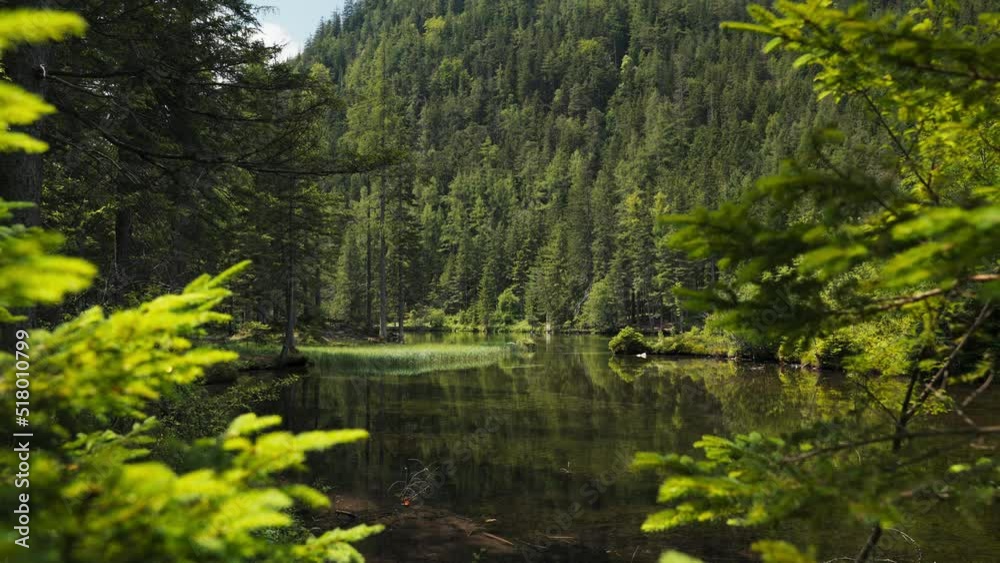Gruner See, beautiful green lake with crystal clear water in summer, Gruner See, Styria, Austria