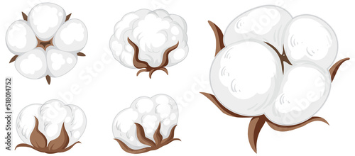 Set of cotton flowers isolated