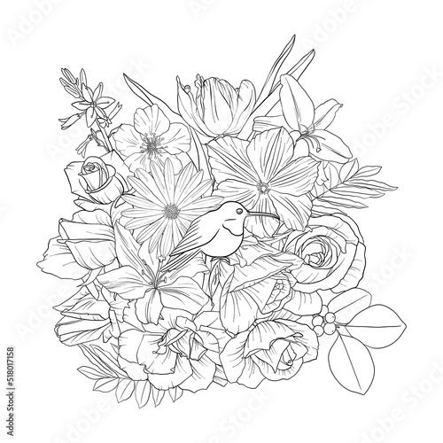Fototapeta Naklejka Na Ścianę i Meble -  vector drawing natural background with hummingbird and flowers, black and white coloring page, hand drawn illustration
