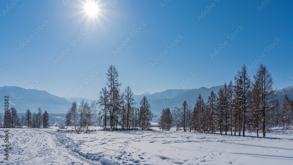 The sun's rays shine in a clear blue sky. The road is trampled in a snow-covered valley. Bare trees in snowdrifts. A picturesque mountain range in the distance. Altai The sun's rays shine in a clear blue sky. The road is trampled in a snow-covered valley. Bare trees in snowdrifts. A picturesque mountain range in the distance. Altai