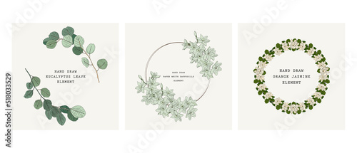 Wreath frame of eucalyptus leaves, white flower and orange jasmine flower. for wedding stationary, greetings, wallpapers, fashion, background. Eucalyptus, olive, green leaves, etc.