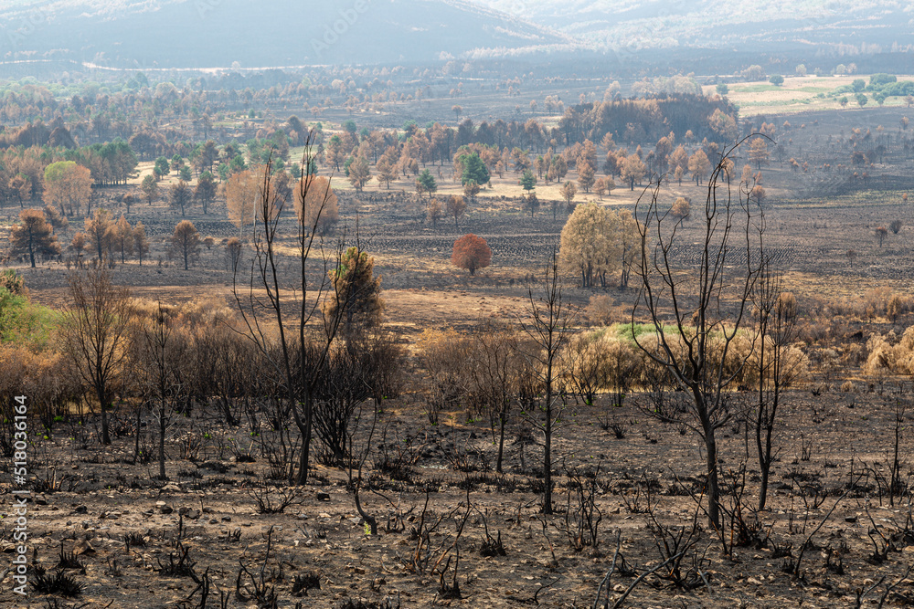Valley in the Sierra de la Culebra after a fire, Zamora, Spain. Valley in the Sierra de la Culebra after a fire, Zamora, Spain.