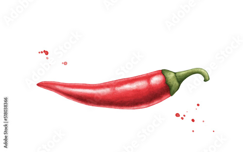 Red hot chili pepper  whole pod. Hand drawn watercolor illustration isolated on white background