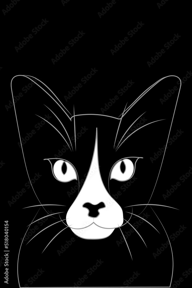 Abstract of black cat with white face on black background.