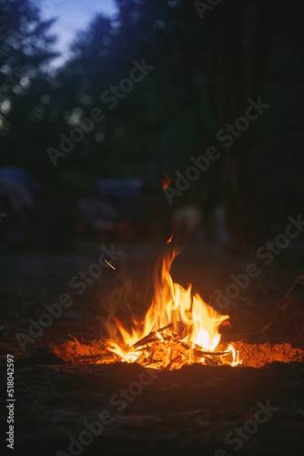 Beautiful campfire in the evening at the forest. Fire burning in dusk at campsite near a river in beautiful nature with evening sky at background