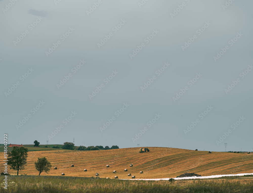 A tractor in the field during the harvest. Agriculture season.