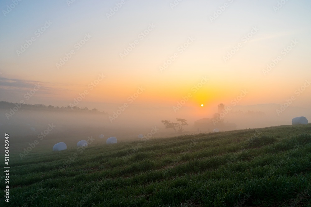 Obraz premium 목장의 가을