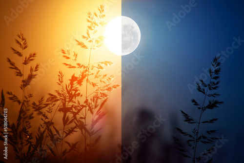 Day and night conceptual image. Dry grass in day and night.