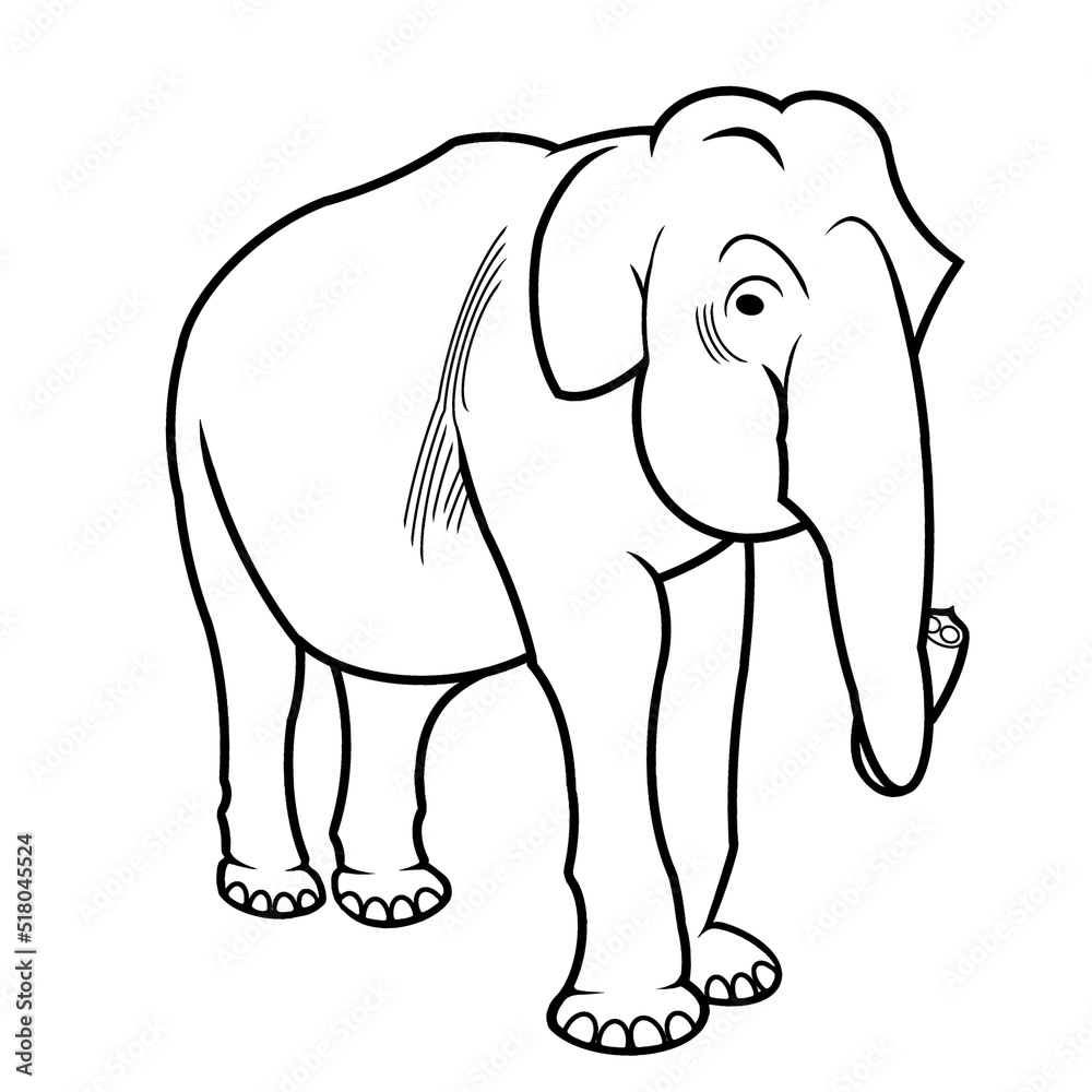 Fototapeta premium Elefante