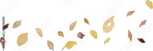 水彩画。水彩タッチの紅葉樹ベクターイラストセット。秋の枯葉のベクター挿絵。リアルタッチの秋の植物イラスト。Watercolor. Set of vector illustration of autumn leaves tree vector illustration with watercolor touch. Autumn dead leaves vector illustration. Aut