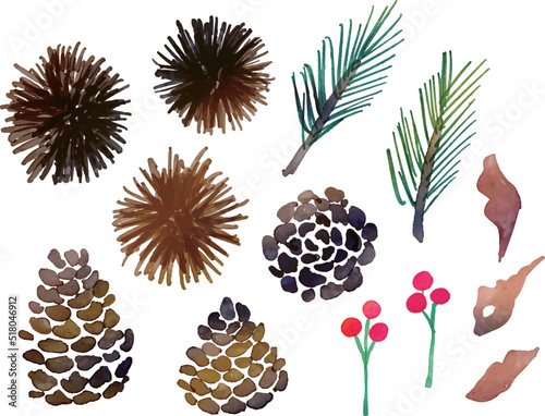 水彩画。水彩タッチの木の実と松ぼっくりのベクターイラスト。秋の木の実ベクターイラスト。Watercolor painting. Vector illustration of nuts and pine cones with watercolor touch. Autumn nuts vector illustration.