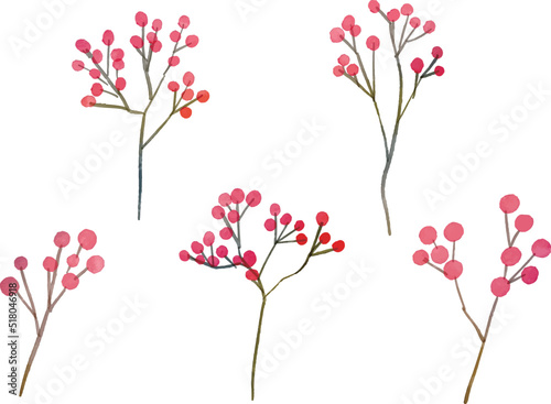水彩画。水彩タッチの赤い木の実ベクターイラスト。秋の木の実ベクターイラスト。Watercolor painting. Red tree nuts vector illustration with watercolor touch. Autumn nuts vector illustration.