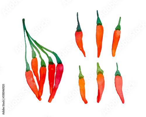 水彩画。水彩タッチの唐辛子イラスト。秋の木の実ベクターイラスト。Watercolor painting. Chilli illustration with watercolor touch. Autumn nuts vector illustration.