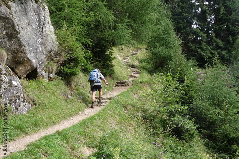 Wanderer auf dem Meraner Hoehenweg bei Giggelberg Wanderer auf dem Meraner Hoehenweg bei Giggelberg