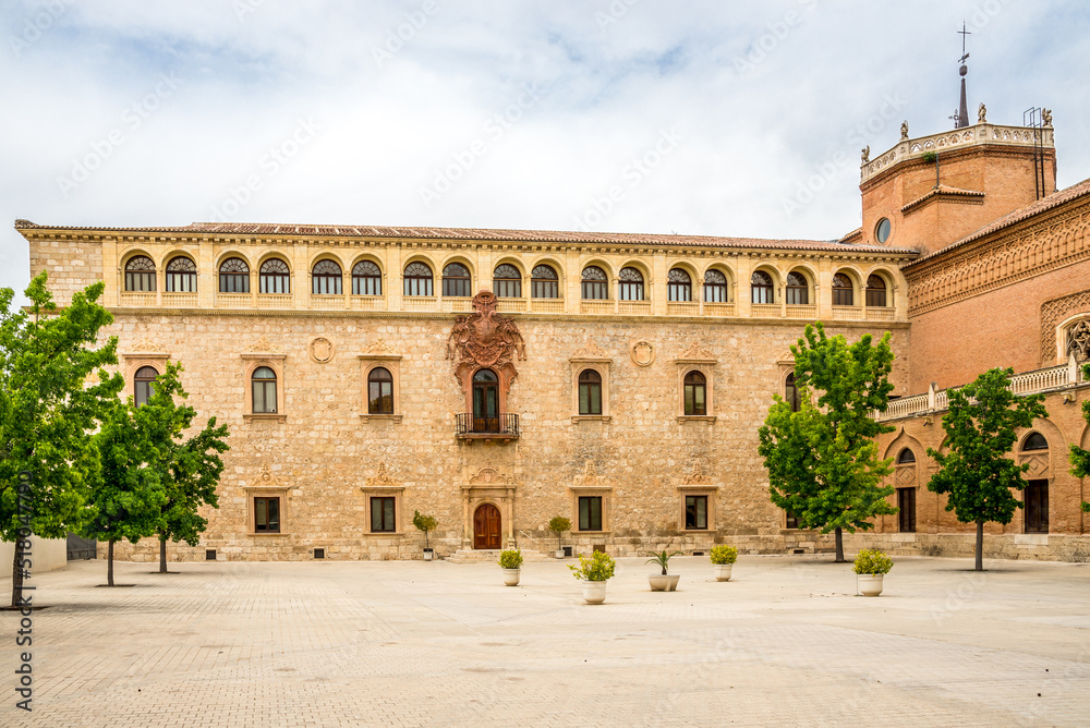 View at the Episcopal Palace in the streets of Alcala de Henares - Spain