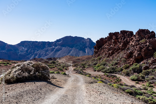 Scenic hiking trail leading to Guajara, Roque de la Grieta near Montana Majua in volcano Mount Teide National Park, Tenerife, Canary Islands, Spain, Europe. Volcanic barren desert landscape. Dirt road photo