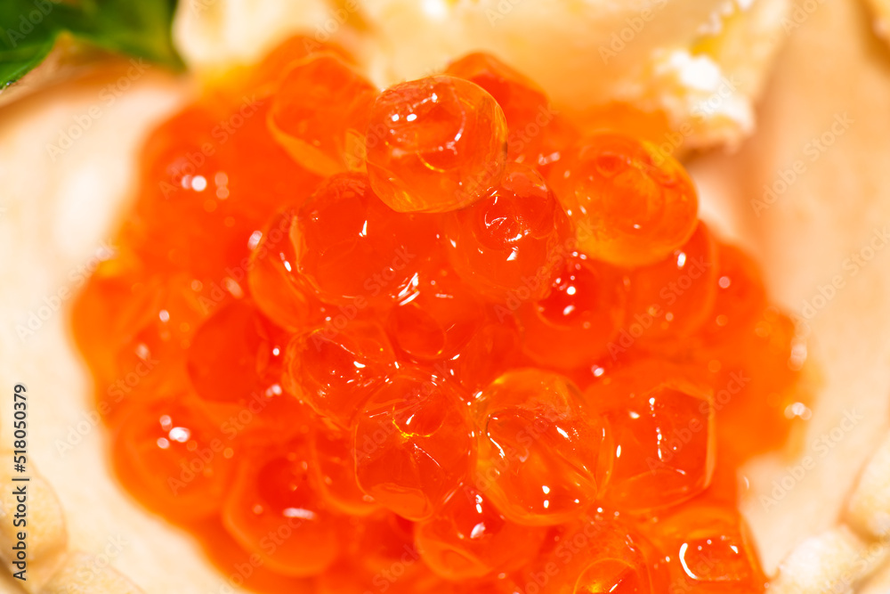 Red caviar in tartlet on beige oil with green grasses with illuminated by white light close-up of top. Red caviar in tartlet on beige oil with green grasses with illuminated by white light close-up of top.