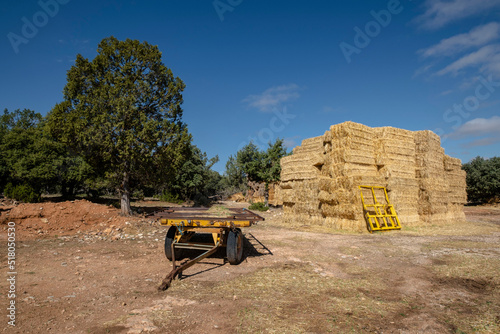 paja de trigo, Montuenga de Soria,  Comarca de Arcos de Jalón,  Soria,  comunidad autónoma de Castilla y León, Spain, Europe photo