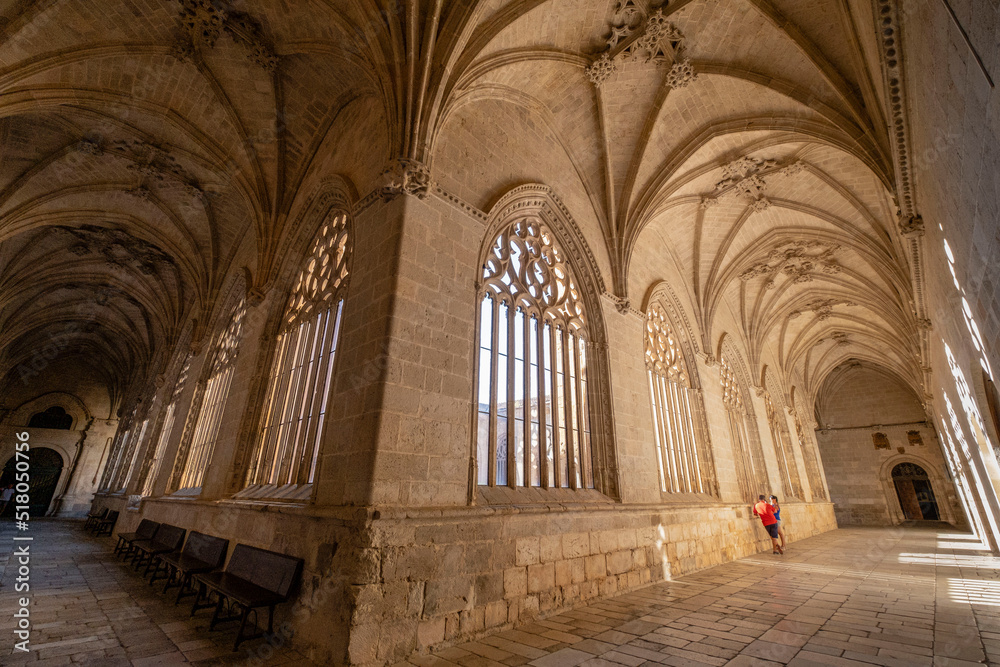 claustro, Catedral de Santa María de la Asunción, El Burgo de Osma, Soria,  comunidad autónoma de Castilla y León, Spain, Europe