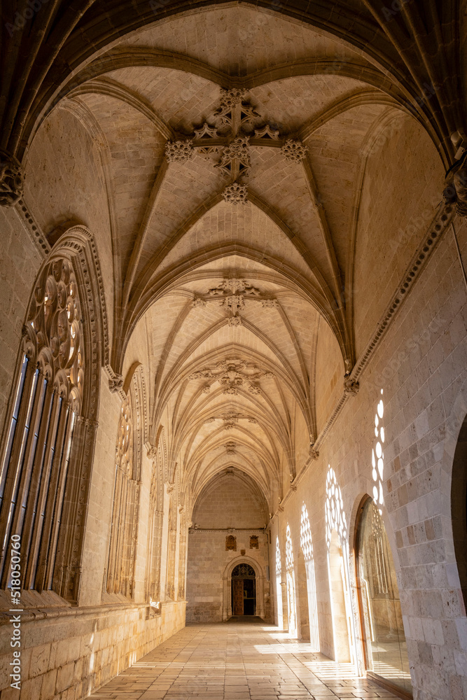 claustro, Catedral de Santa María de la Asunción, El Burgo de Osma, Soria,  comunidad autónoma de Castilla y León, Spain, Europe