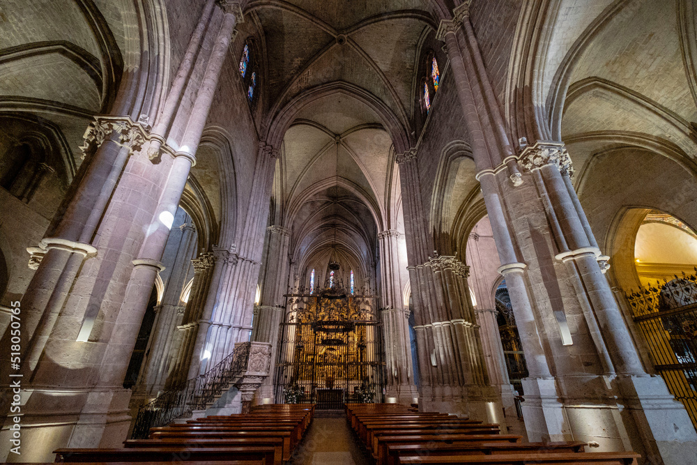 Catedral de Santa María de la Asunción, El Burgo de Osma, Soria,  comunidad autónoma de Castilla y León, Spain, Europe