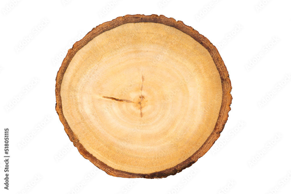 Wooden cutting board isolated on white background. Wooden cutting board isolated on white background.
