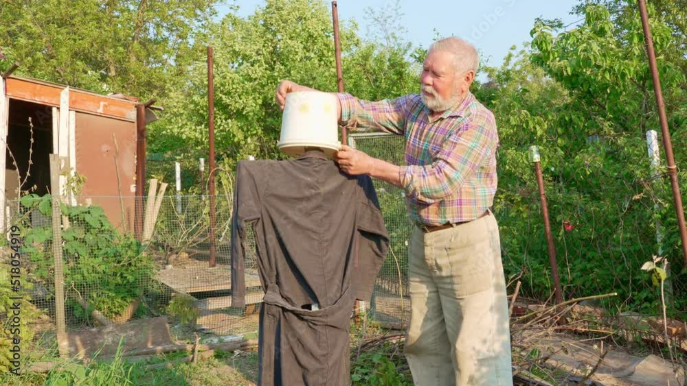 elderly farmer makes a scarecrow in the garden between the beds to scare away birds. ways to control pests in gardens. life hacks for farmers.