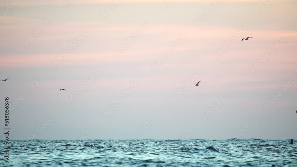 A flock of seagulls fly and fish in the sea. Warm sunset sky over the ocean, sun glare. Silhouettes of seagulls flying in slow motion away from the camera with the sea in the background at sunset. A flock of seagulls fly and fish in the sea. Warm sunset sky over the ocean, sun glare. Silhouettes of seagulls flying in slow motion away from the camera with the sea in the background at sunset.