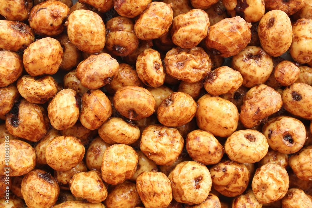 Close-up of chufa, tigernut, earth almond preparing for traditional typical tasty homemade cold fresh drink horchata from Valencia, Spain. Healthy organic food concept. Tiger nut for flour and milk Close-up of chufa, tigernut, earth almond preparing for traditional typical tasty homemade cold fresh drink horchata from Valencia, Spain. Healthy organic food concept. Tiger nut for flour and milk
