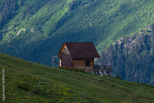 Old small house in the mountains and green hills with forest. © Inga Av
