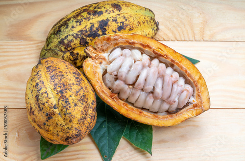 Fresh cocoa fruits with green leaf on wooden background. photo