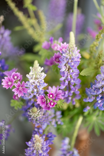 Beautiful bouquet of wild flowers. Lupin and malva flowers in blossom