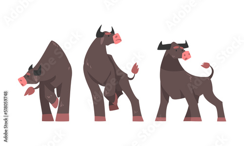 Big buffalo in different poses. Bull farm animals cartoon vector illustration