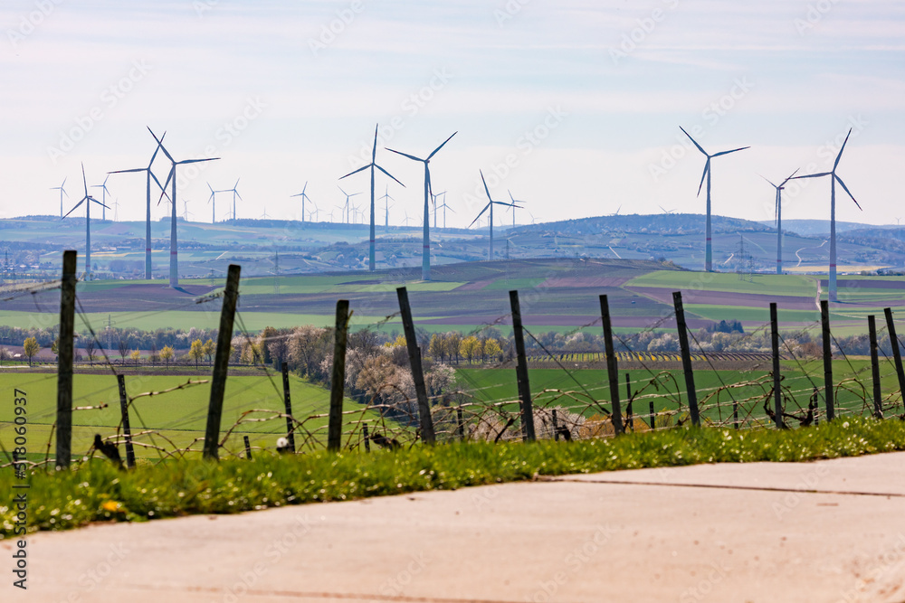 Wirtschaftsweg einer ländlichen Region mit Weinbergen vor einer Vielzahl von Windrädern im Hintergrund