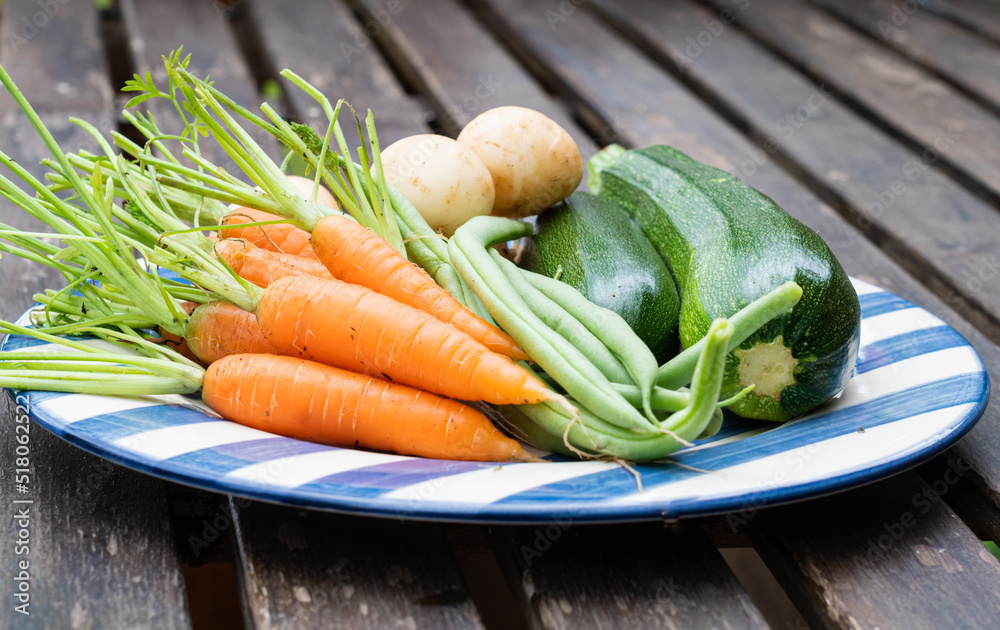 Home grown vegetables carrots courgettes beans and potatos on a blue striped plate on rustic brown wooden table